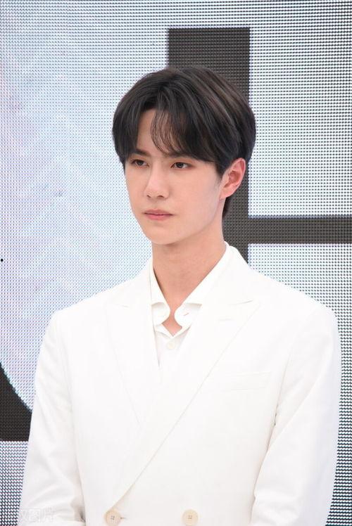 娱乐吃瓜说肖战王一博,娱乐吃瓜界的双星闪耀