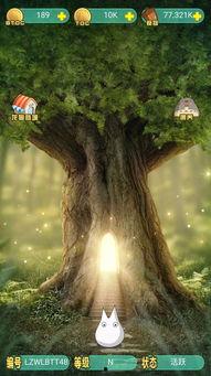 吃瓜娱乐龙猫,吃瓜娱乐中的治愈系萌宠传奇