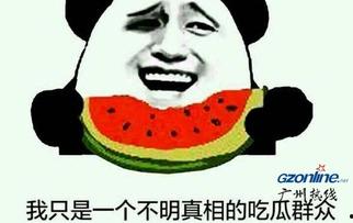 娱乐吃瓜酱网络烂梗,盘点那些让人笑到肚子疼的网络烂梗