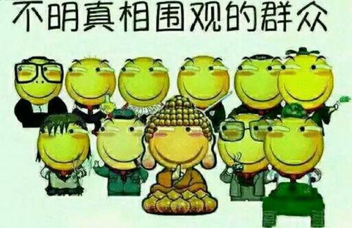 娱乐吃瓜群众组织,吃瓜群众组织的幕后故事