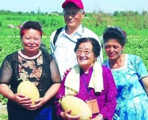 王教授吃瓜娱乐圈